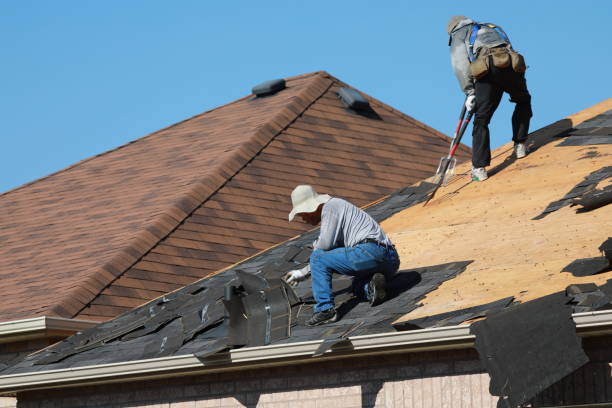 Best Roof Maintenance and Cleaning  in Youngtown, AZ